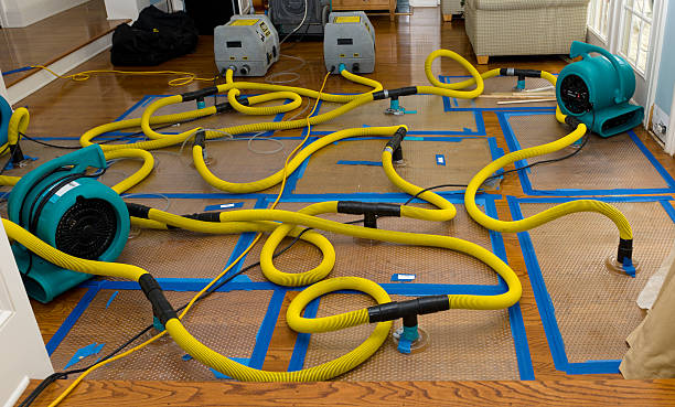 Professional Crawl Space Water Removal technician working in Azle, TX